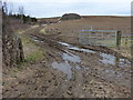 Farmland in the Welland Valley in LE16 7TX