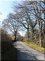 The Lane to Cwmtydu in SA44 6BY
