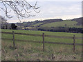 Pasture northeast of Preston Farm House in SN8 2HG