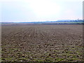 Fields near Witchampton in BH21 4JG