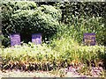 Graves of pets at Talyllyn station in LD3 7TD