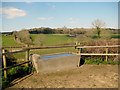 Water trough and Isles Farm in BA22 9JF