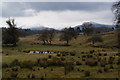 Waterlogged grazing land near Waterson Moss in LA22 0NJ