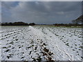 Bridleway crossing a field near The Lights in ST19 9QX