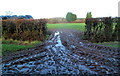 A muddy field entrance, Woodbine Farm east of Thornbury in BS35 3UD