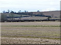 Fields near Welham Lodge in Welham