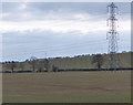Electricity pylon and field near Welham Lodge in Welham