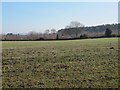 Farmland and woodland north of Broomley Pit House in NE44 6EX