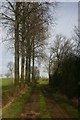Track to Hartshall Farm in IP31 3BY