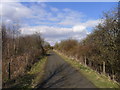 Bridleway from the Trent approaching Cottam in DN22 0EU
