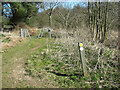 Footpath marker on Low Common Lane in Wheatacre