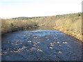The River Tyne upstream of Styford Bridge in NE43 7AD