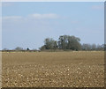Farmland east of the A429 in GL56 0EY