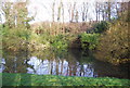 Pond near Upper Lostiford House in GU5 0QY