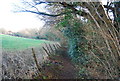 Footpath around Barnett Hill in GU5 0RY