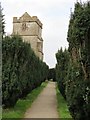 Yew  lined  path  to  St  Michael's  Atworth in SN12 8JA