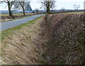 Ditch and hedge along Bowden Road in Thorpe Langton