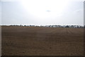 Field south of Leaden Roding in CM6 1QL