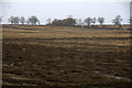 Fields at Keithick, south of Coupar Angus in PH13 9LW