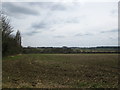 Fields by Bowling Lane in Bishop's Stortford All Saints Ward