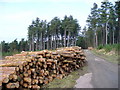Log Stack, Barnes Wood in TN33 0NT