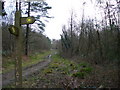 Path Junction, Barnes Wood in TN32 5JN
