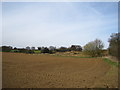 Field near Charity Farm in Belstead