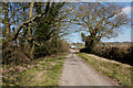 Furze Hill Lane looking towards Furze Hill Farm in SN10 5JS