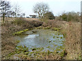 Field corner pond in Chigwell with Lambourne Ward