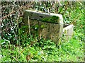 Stone water trough, West Hatch in TA3 5RL