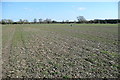 Farmland west of Chalgrove in OX44 7BY