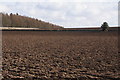 Ploughed field at Birkhill in DD2 5NB