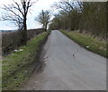 Welham Road towards Great Bowden in LE16 7FN