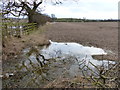 Flooded farmland south of Welham Road in LE16 7FN