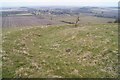 Tumulus north of Ladle Hill Fort in RG20 9NR