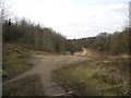 Junction of paths, Greenhurst Clough in OL6 8BH
