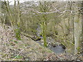 Greenhurst Clough Brook in Ashton Hurst Ward