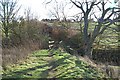 Another bridge over the Swilken in KY16 9FF