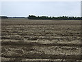 Ploughed field east of the A1068 in NE61 5EL