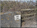 Mark on road bridge over disused railway in IP31 1HS
