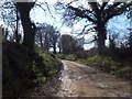 Road and stream west of Causeway End in EX14 3LJ
