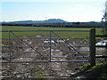 Gate and field near Court Farm, looking south in HR4 7PF