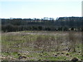 Fields in the Wye valley near Heathfield, looking south towards the Wye in HR2 9QQ