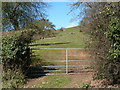 Gate and field at Heathfield, looking north west in HR2 9QQ