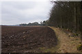 Ploughed field and woodland, Checkiefield, Kirriemuir in DD8 5QE