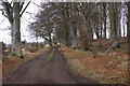 Track to Logie, Kirriemuir in DD8 1QA