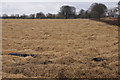 Straw in a field, Rosewell, Kirriemuir in DD8 5QB