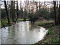 Great Stour at Chilham Mill in CT4 8EF