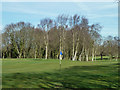 A green, Old Fold Manor Golf Club in EN5 4RN