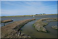 Potton Island Tidal Causeway in SS3 0BY